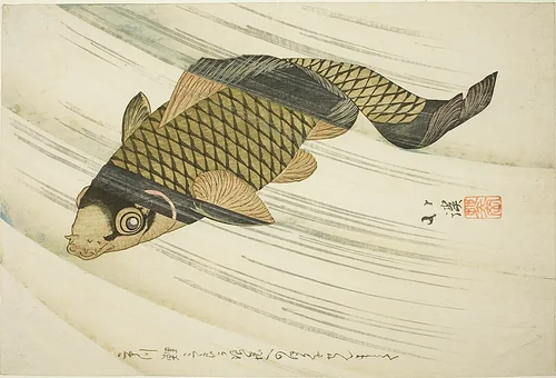 Carp Swiming Upstream by Totoya Hokkei (魚屋北渓), print, 1801-1834