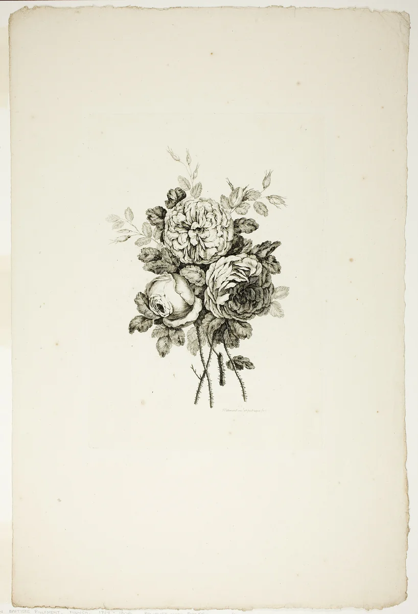 Bouquet with Roses, from Collection of Different Bouquets of Flowers, Invented and Drawn by Jean Pillement and Engraved by P. C. Canot by Pierre-Charles Canot, print, 1760