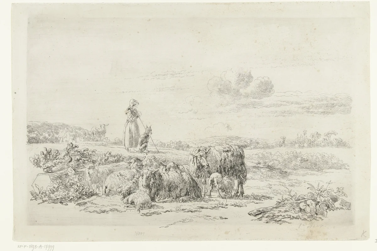 Landschap met herderin en hond bij kudde schapen by Simon van den Berg, print, 1822-1893