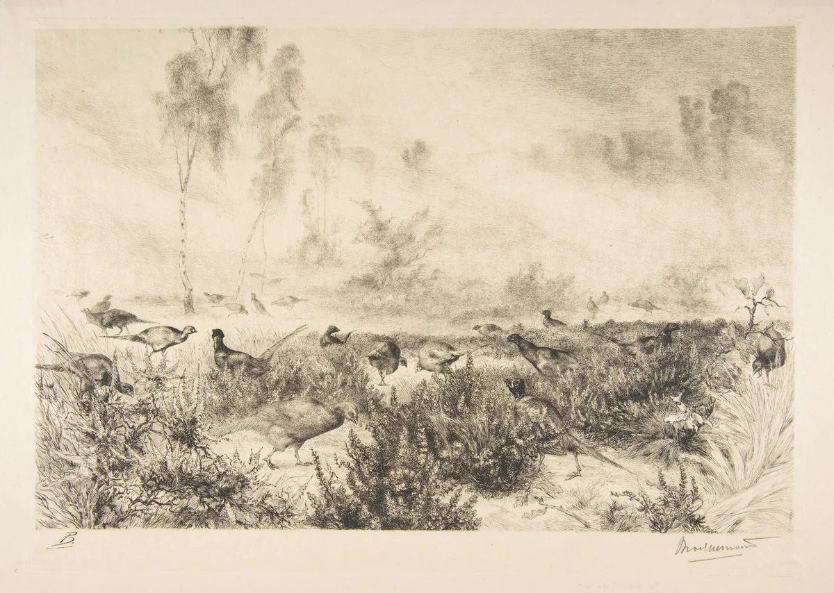 Brumes du matin by Félix Bracquemond, print, 1882