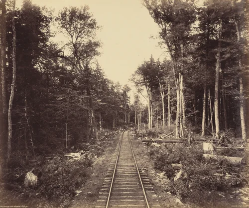 Ganoga Lake Branch by William H. Rau, photograph, 1890-1900
