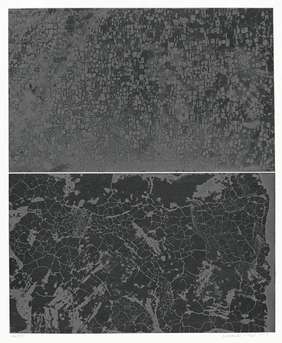 CPP5 by Leonardo Drew, print, 2015