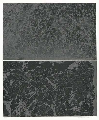 CPP5 by Leonardo Drew, print, 2015