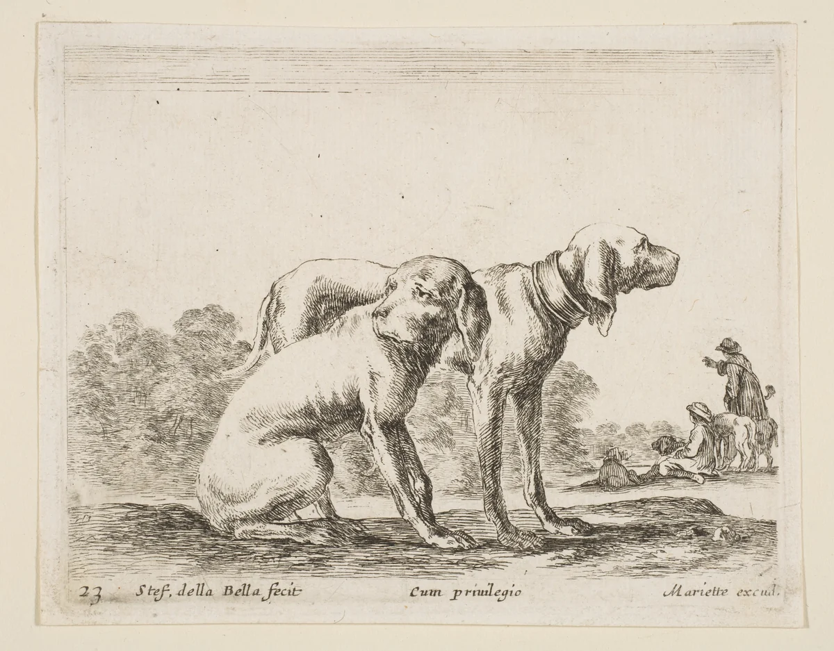 Two hounds, plate 23 from "Various Animals" (Diversi Animali) by Stefano della Bella, print, 1636-1646