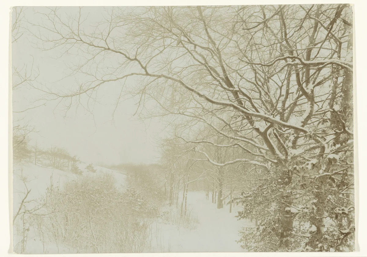 Besneeuwde Jachtduinen bij Bloemdaal by Richard Tepe, photograph, 1900-1930