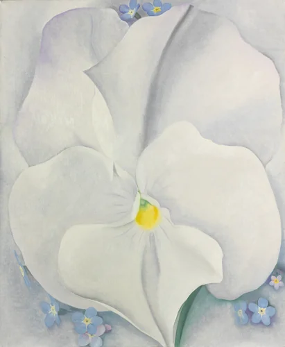White Pansy by Georgia O'Keeffe, painting, 1927