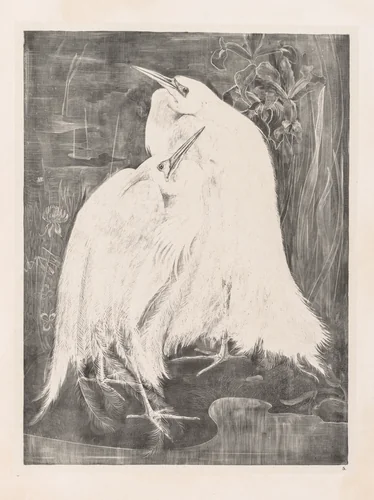 Animal Studies: Two Silver Herons by Theo van Hoytema, print, 1898
