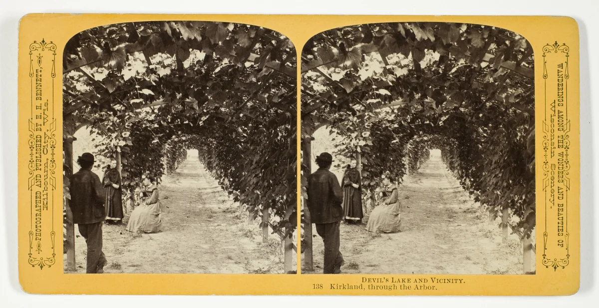 Kirkland, through the Arbor, No. 138 from the series "Devil's Lake and Vicinity" by Henry Hamilton Bennett, photograph, 1870-1908