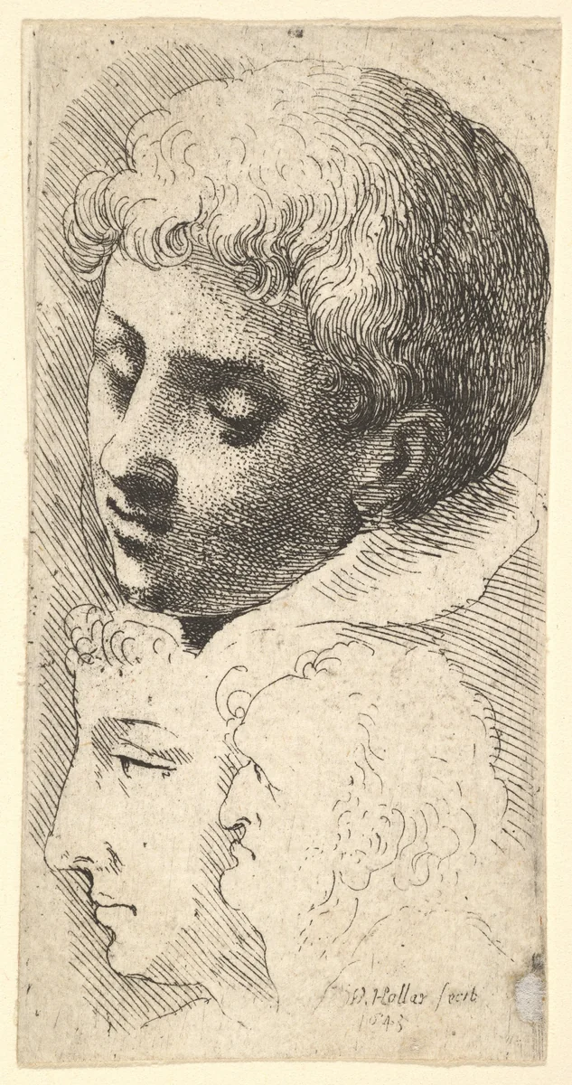 Three heads by Wenceslaus Hollar, print, 1645