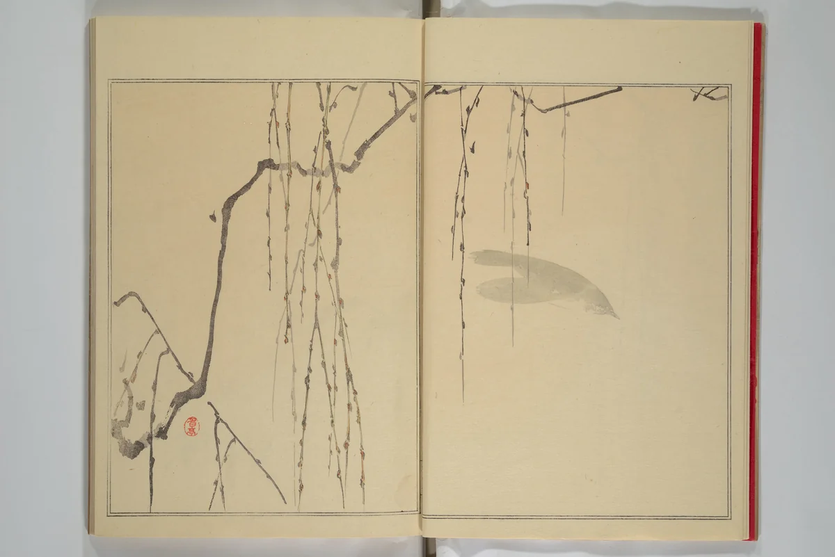 Picture Album of Birds and Flowers (Seitei Kachō gafu) 省亭花鳥画譜 by Watanabe Seitei (渡辺省亭), book, 1903