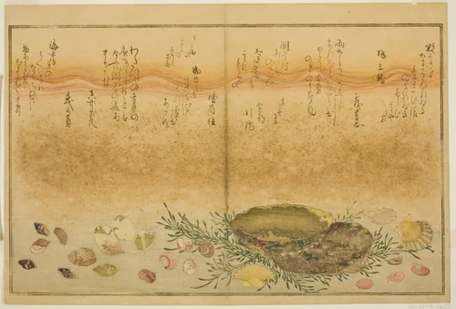 Chidori-gai, itaya-gai, awabi, utsuse-gai, asari-gai, and monoara-gai, from the illustrated book "Gifts from the Ebb Tide (Shiohi no tsuto)" by Kitagawa Utamaro (喜多川歌麿), print, 1789