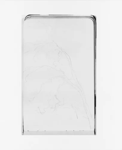 Tree (from Sketchbook) by Albert Bierstadt, artwork, 1890