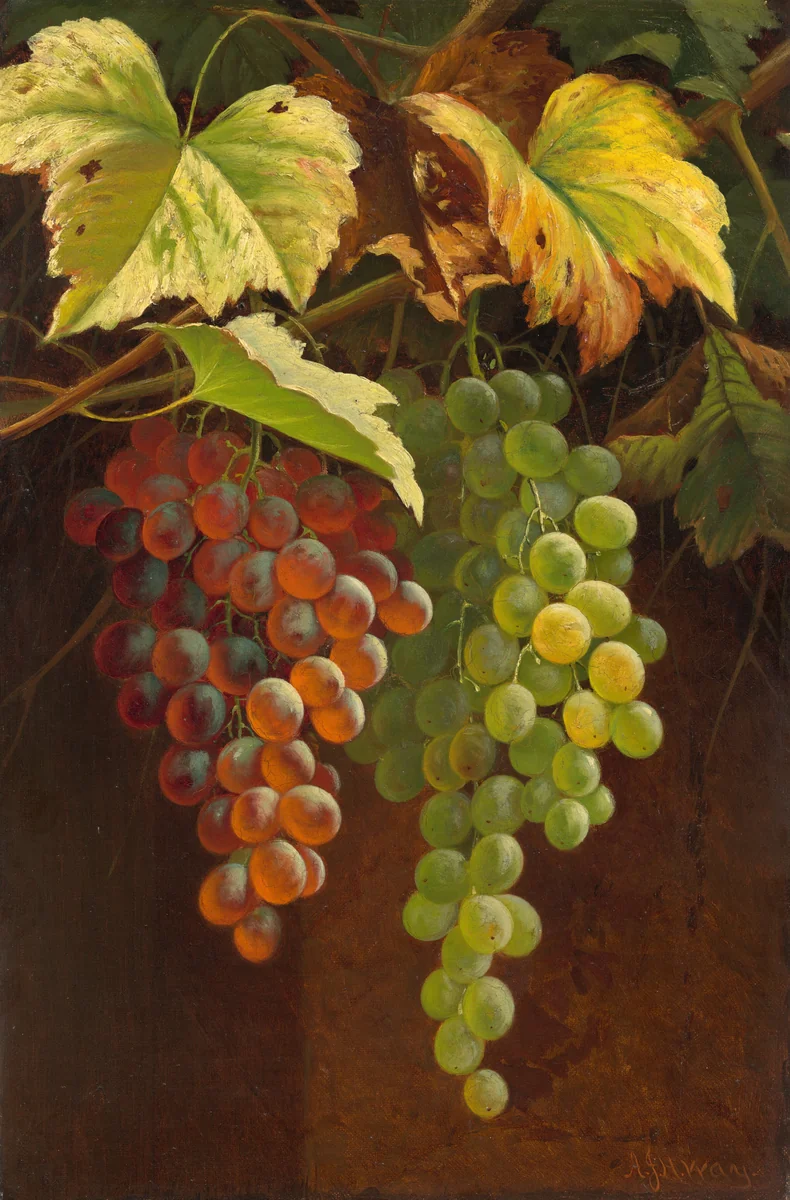 Two Bunches of Grapes by Andrew John Henry Way, painting, 1826-1888