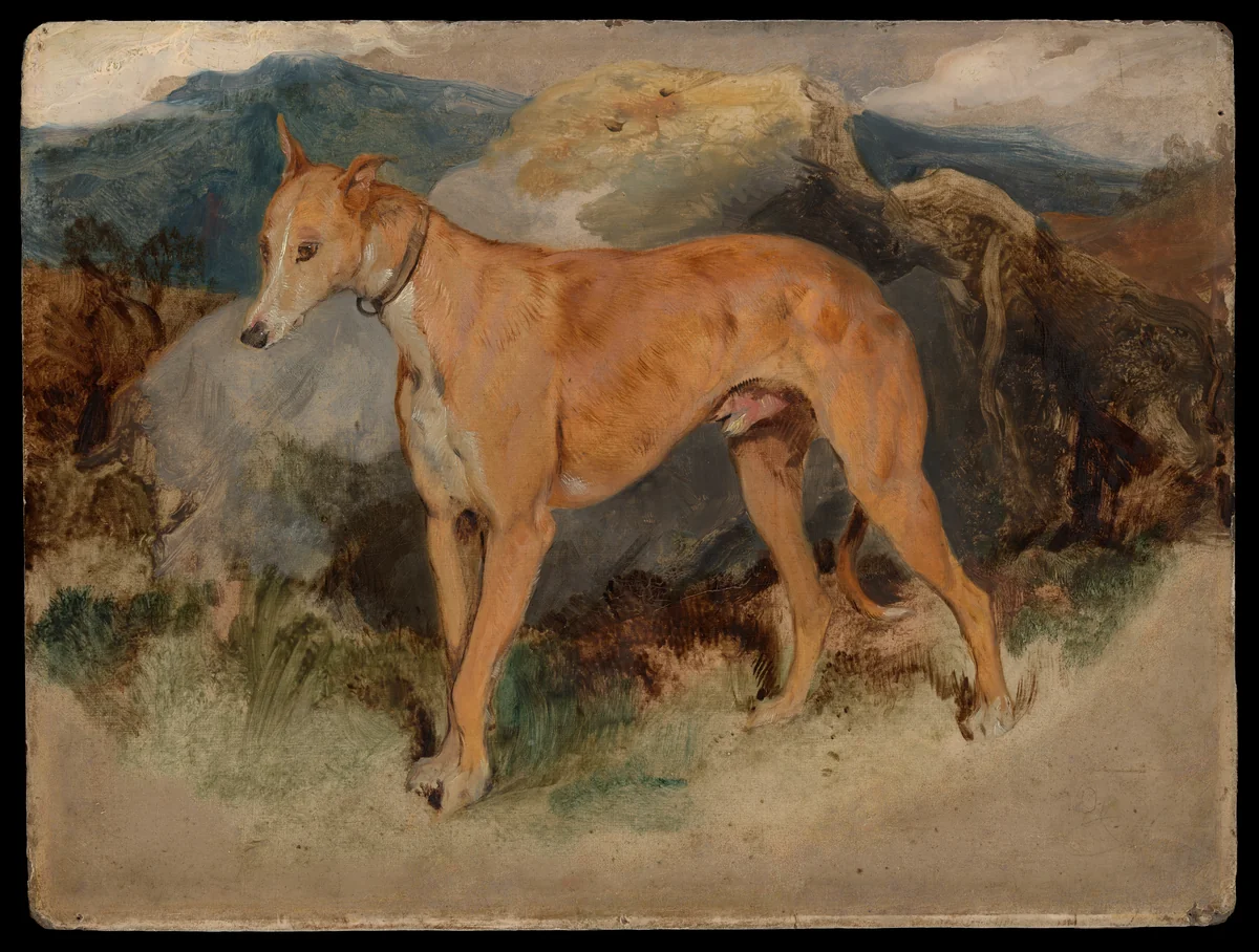 A Deerhound by Edwin Henry Landseer, painting, 1826