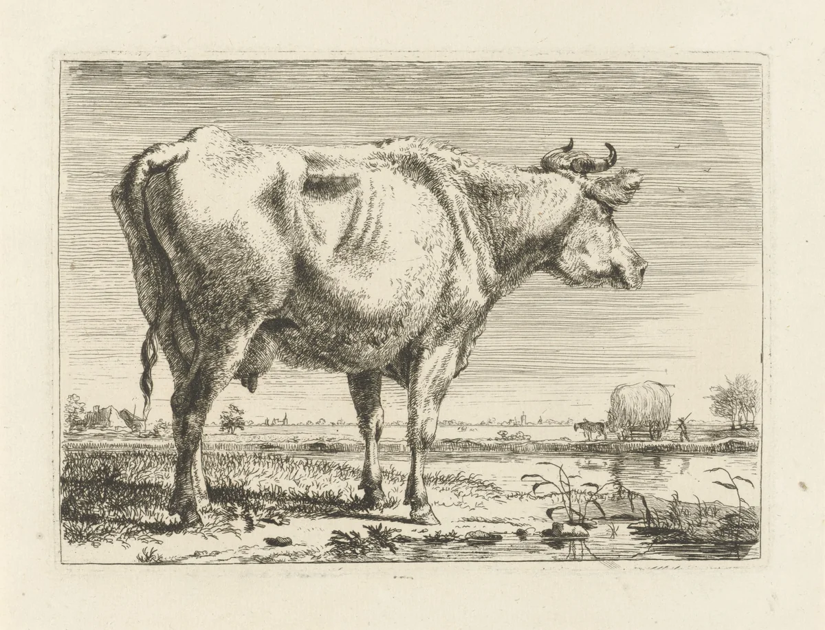 Staande koe by Pieter Gerardus van Os, print, 1798
