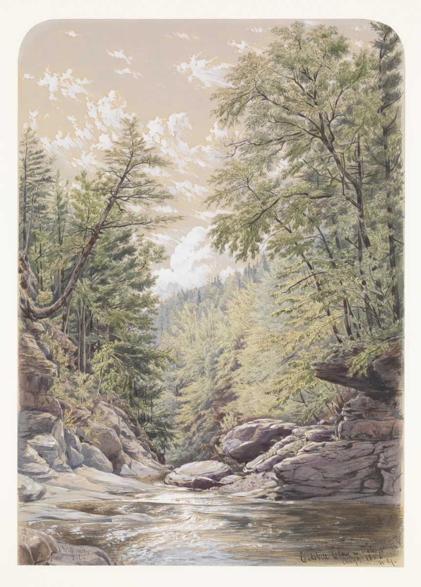 Catskill Clove in Palingsville by William Rickarby Miller, artwork, 1856