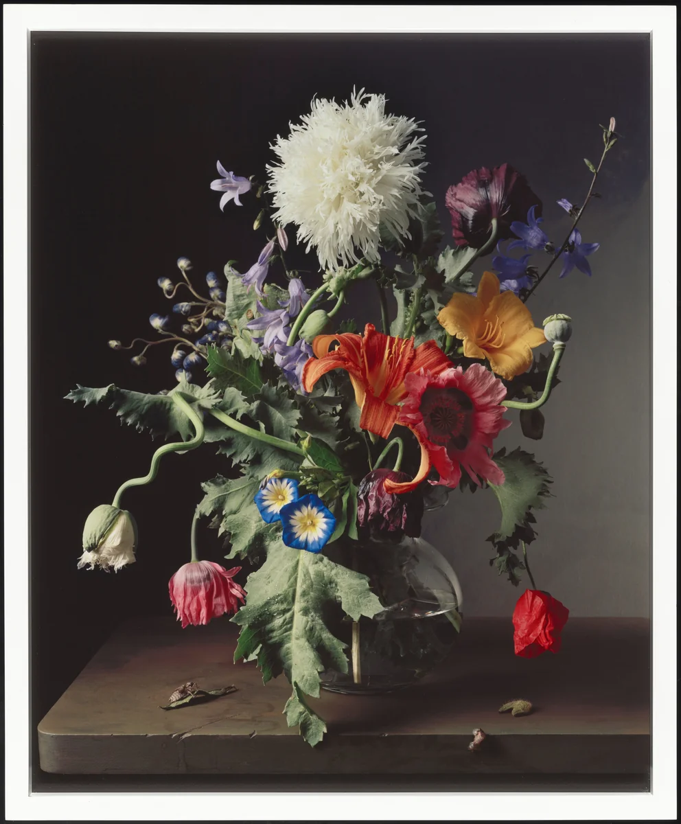 1665 by Sharon Core, photograph, 2011