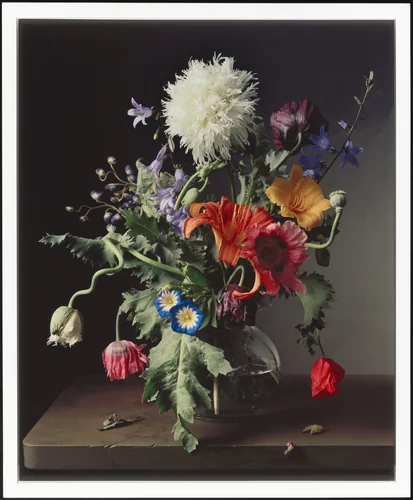 1665 by Sharon Core, photograph, 2011