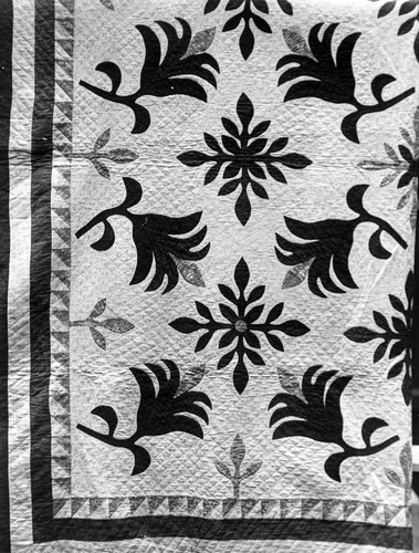 Bedcover (Poinsetta or Flower of Christmas Quilt) by United States, textile, 1840-1860