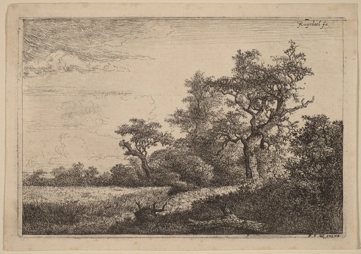 Grain Field at the Edge of a Wood (Corn Field) by Jacob van Ruisdael; Frans van den Wyngaerde, print, 1628-1682