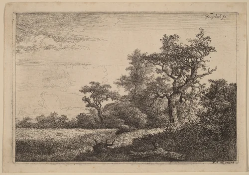 Grain Field at the Edge of a Wood (Corn Field) by Jacob van Ruisdael; Frans van den Wyngaerde, print, 1628-1682