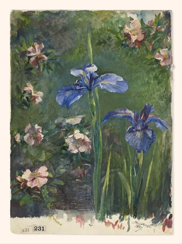 Wild Roses and Irises by John La Farge, artwork, 1887