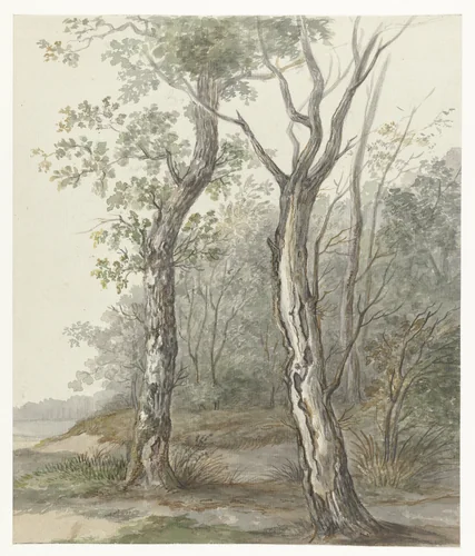 Boslandschap by Jan Dasveldt, drawing, 1780-1855