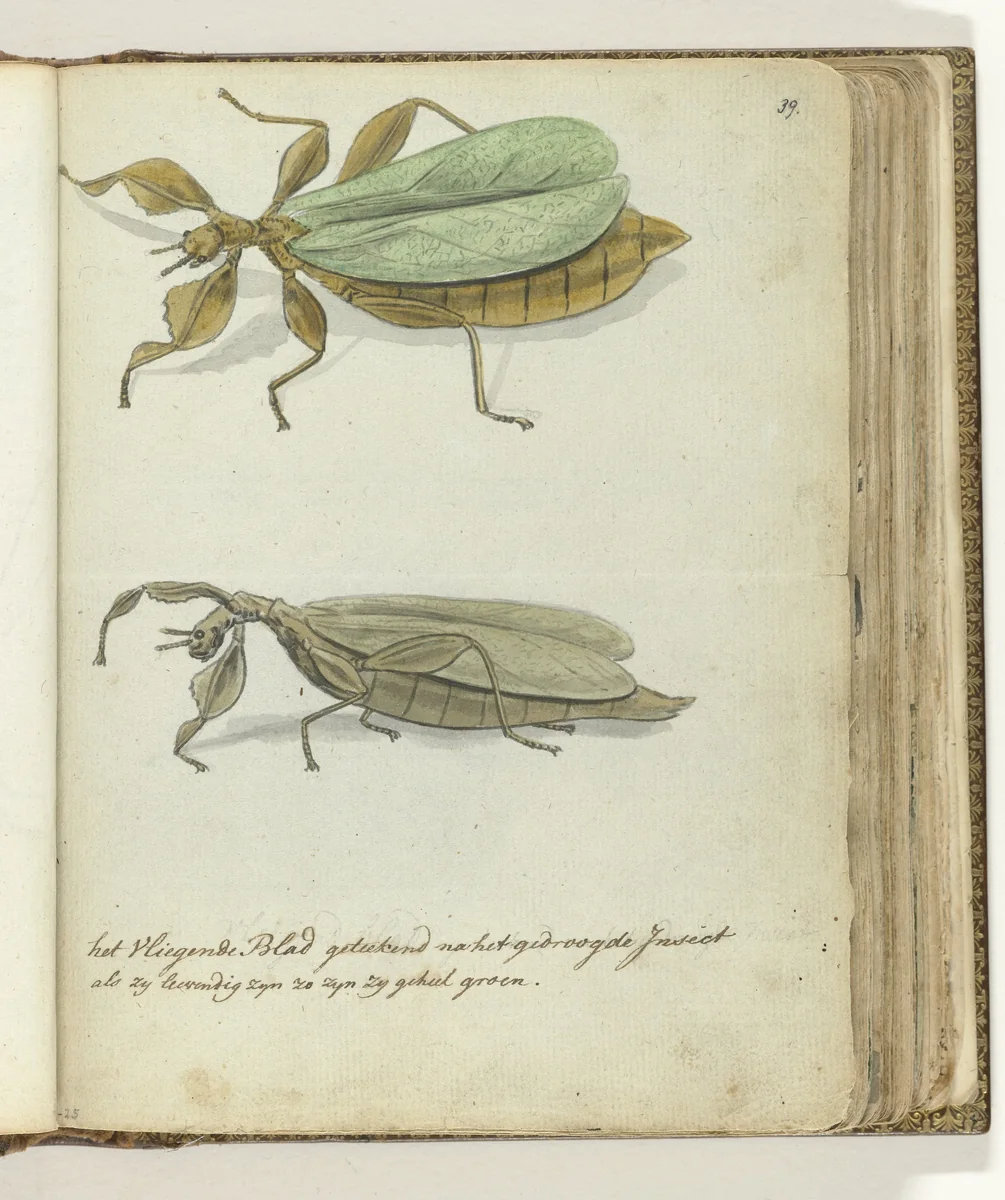Het Vliegende blad by Jan Brandes, drawing, 1778-1785
