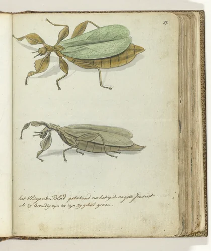Het Vliegende blad by Jan Brandes, drawing, 1778-1785
