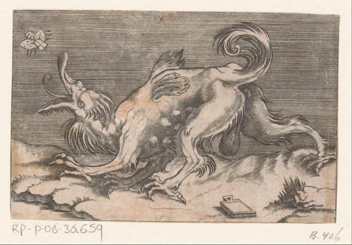 Monster met bij by Agostino Veneziano, print, 1500-1536
