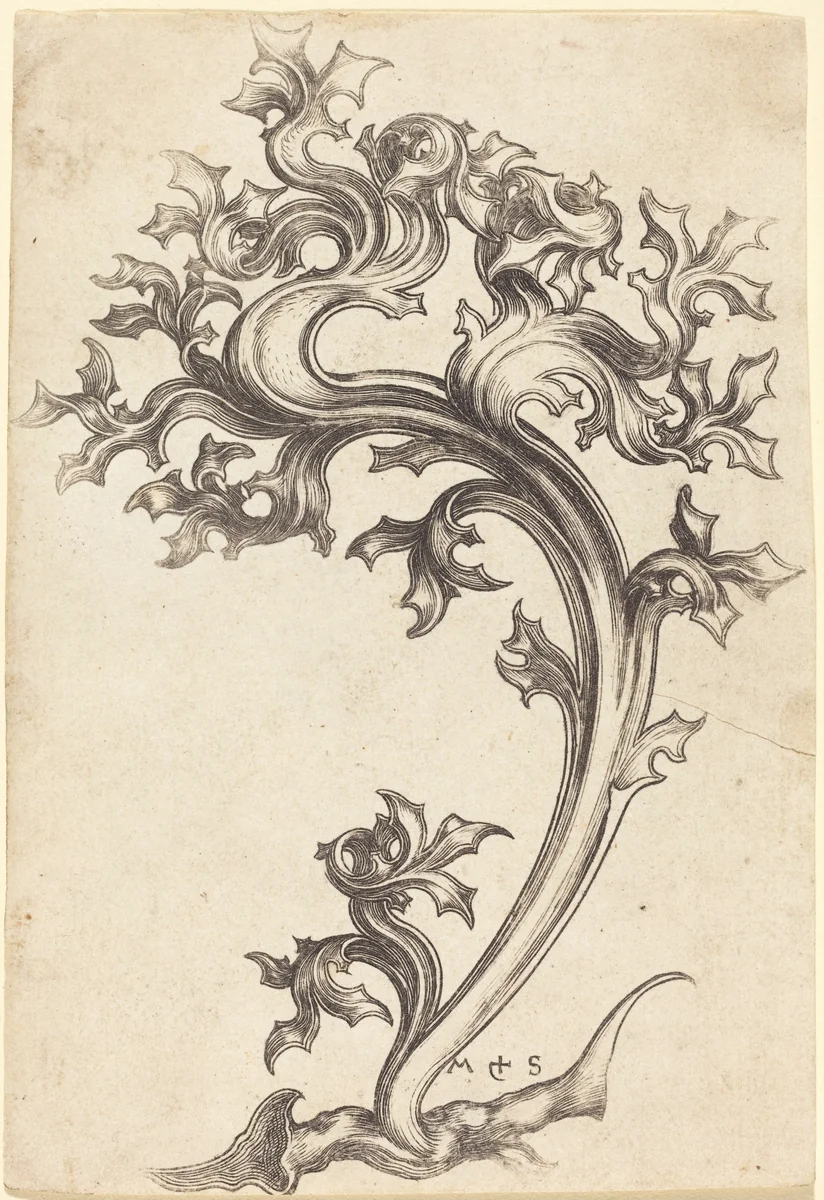 Thistle Ornament by Martin Schongauer, print, 1450-1491
