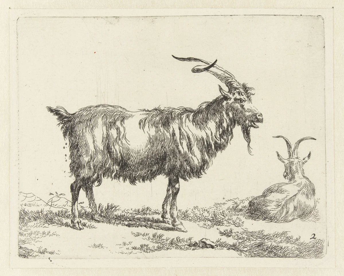 Twee geiten by Nicolaes Pietersz Berchem, print, 1648-1652