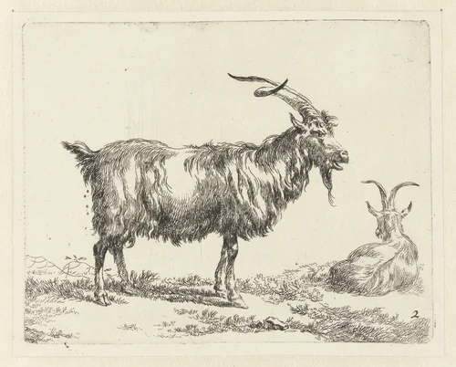Twee geiten by Nicolaes Pietersz Berchem, print, 1648-1652