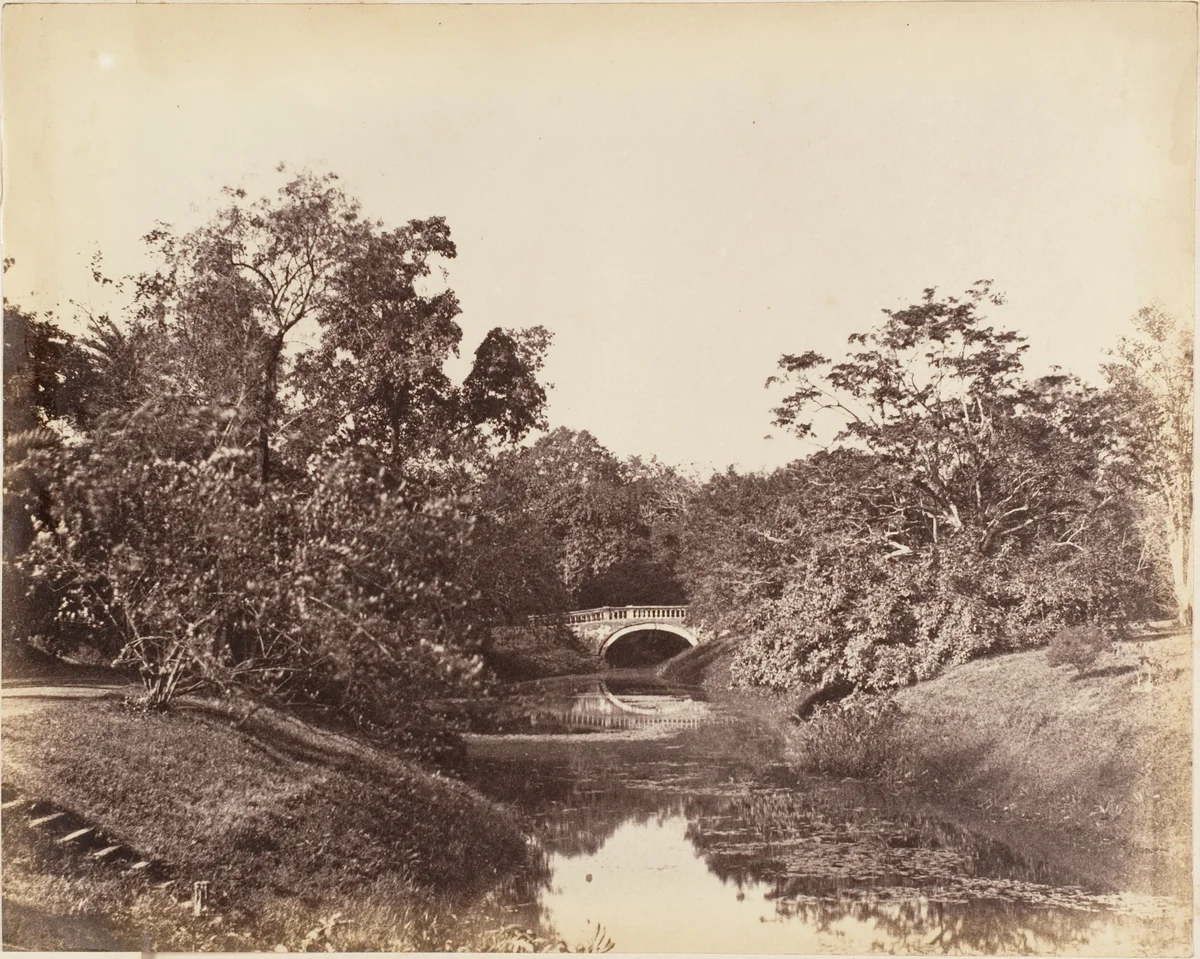[Botanical Gardens, Calcutta] by R. B. Hill, photograph, 1850-1859