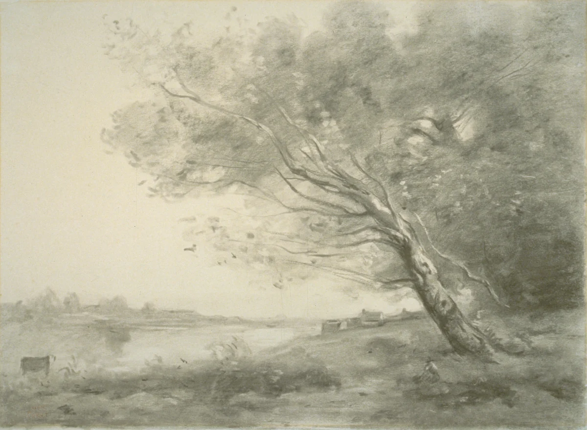 Bent Tree by the Water by Jean-Baptiste-Camille Corot, drawing, 1860-1870