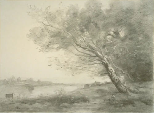 Bent Tree by the Water by Jean-Baptiste-Camille Corot, drawing, 1860-1870