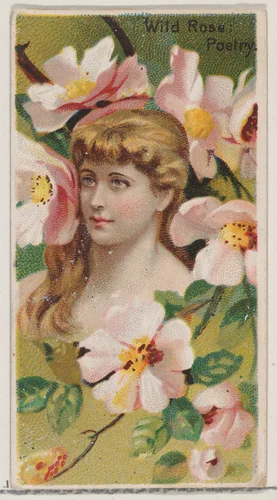 Wild Rose: Poetry, from the series Floral Beauties and Language of Flowers (N75) for Duke brand cigarettes by American Tobacco Company, print, 1892