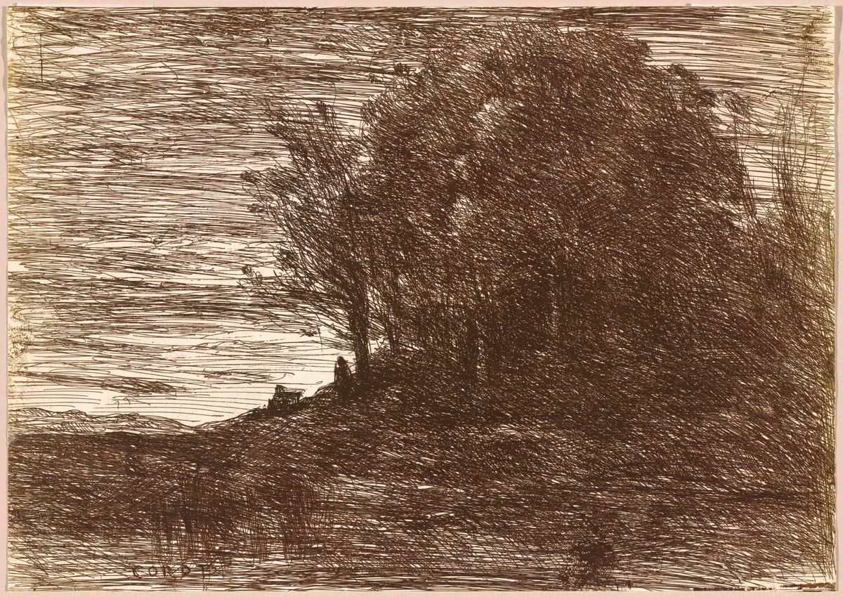 The Hermit's Woods, or the Banks of Lake Trasimène (Le Bois de l'Hermite, ou les Bords du Lac Trasimène) by Jean-Baptiste-Camille Corot, photograph, 1858