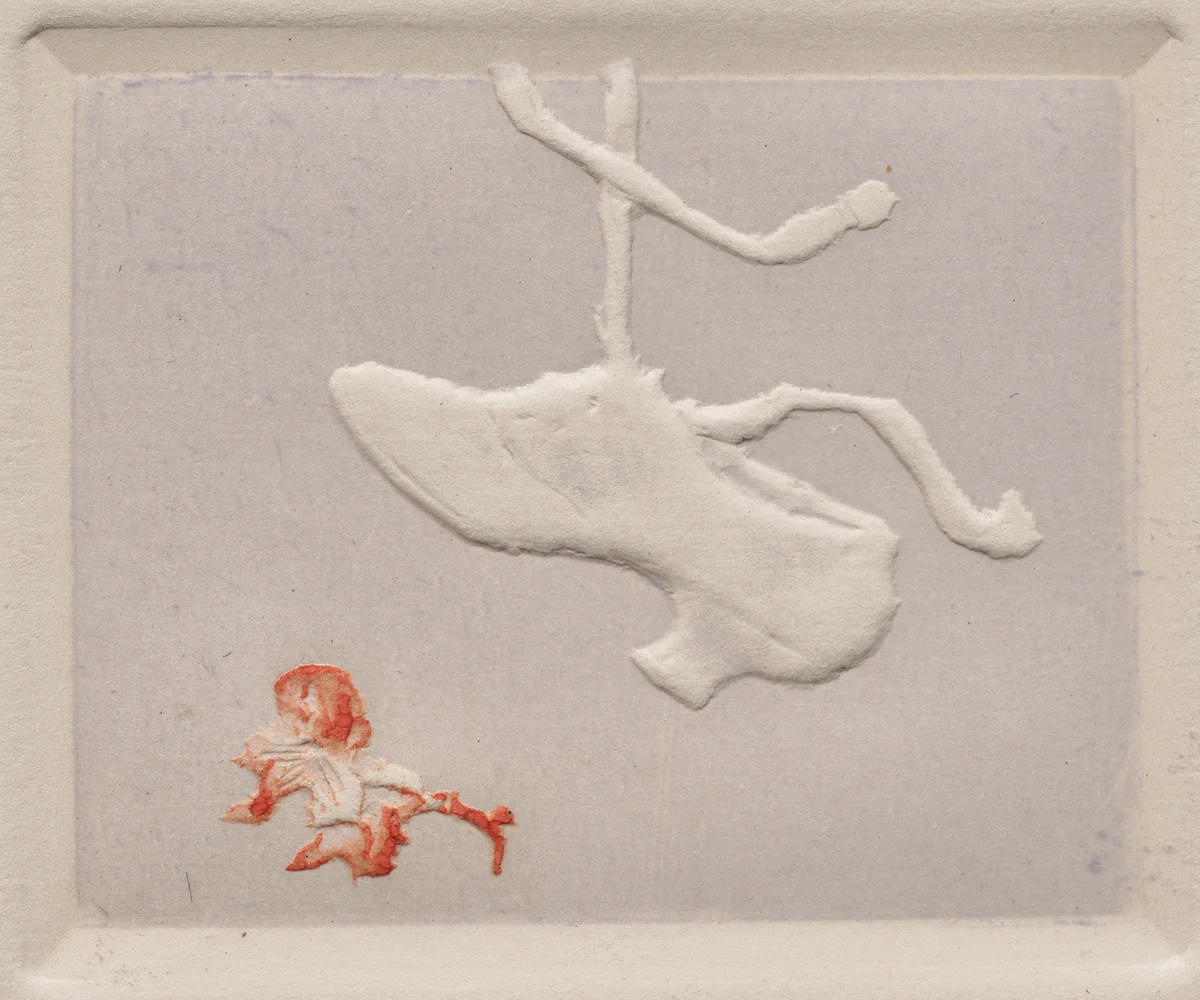 Shoe Suspended from a Ribbon by Pierre Roche, book, 1904