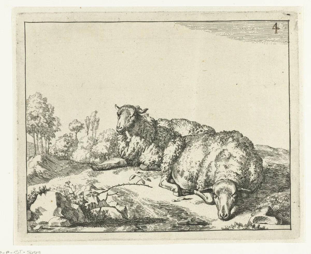Twee schapen liggend bij bramentak by Marcus de Bye, print, 1660