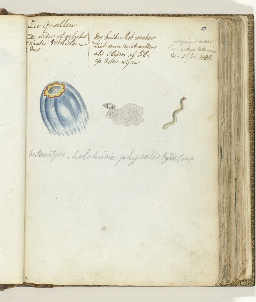 Zeekwallen by Jan Brandes, drawing, 1788