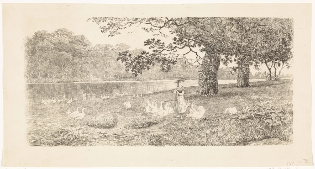 Ganzen bij het water by Elias Stark, print, 1887