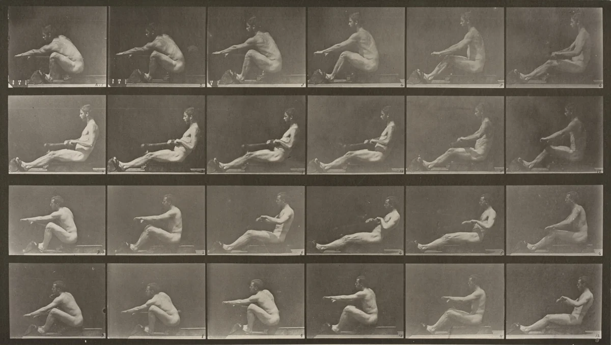 Plate Number 492. Rowing by Eadweard Muybridge, photograph, 1887