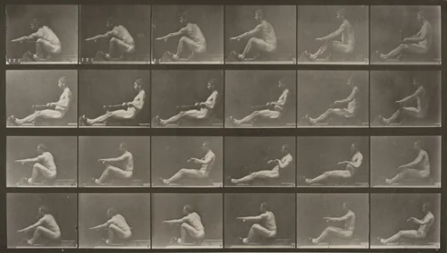 Plate Number 492. Rowing by Eadweard Muybridge, photograph, 1887