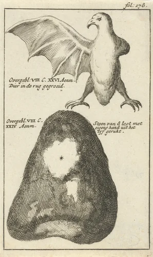 Anatomische afbeelding XXIII by Jan Luyken, print, 1680-1688