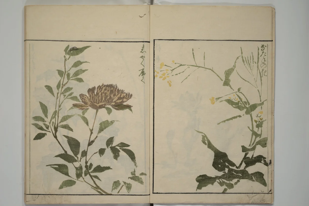 How to Draw Plants and Flowers Simply (Sōka ryakugashiki) 草花略画式 by Kuwagata Keisai (鍬形蕙斎), book, 1813