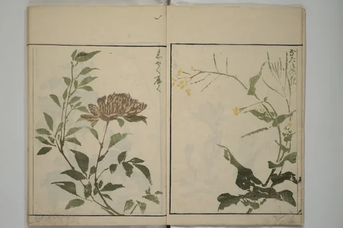 How to Draw Plants and Flowers Simply (Sōka ryakugashiki) 草花略画式 by Kuwagata Keisai (鍬形蕙斎), book, 1813