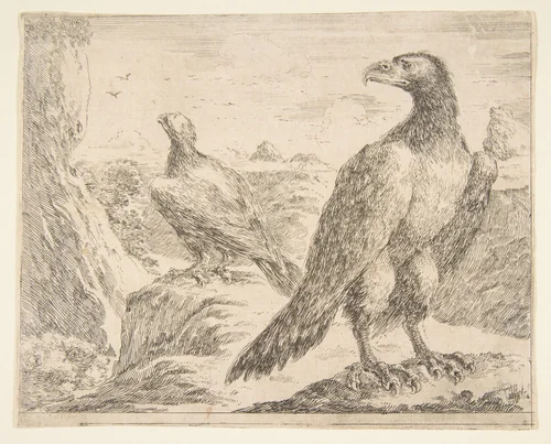 Two Eagles, from "Eagles" (Les Aigles) by Stefano della Bella, print, 1646-1656