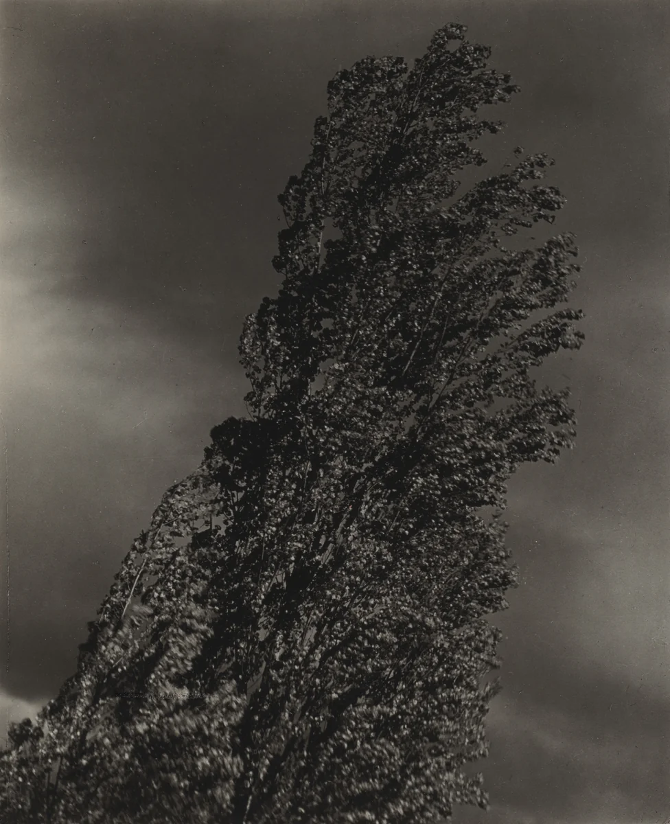 Equivalent by Alfred Stieglitz, photograph, 1925-1927