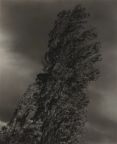 Equivalent by Alfred Stieglitz, photograph, 1925-1927